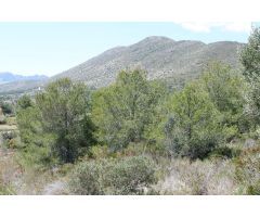 En venta terreno rústico en la Solana de Benisa con posibilidad de construir vivienda.