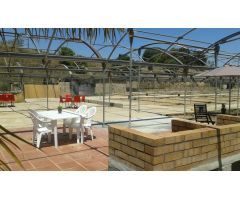 TERRENO RUSTICO CON USO PRINCIPAL AGRARIO  EN VENTA EN ARENYS DE MAR, BARCELONA