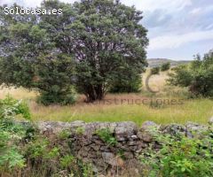 Terreno rural en Venta en Colmenar Viejo, Madrid