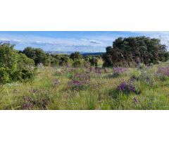 Terreno rural en Venta en Colmenar Viejo, Madrid