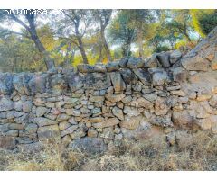 Terreno rural en Venta en Colmenar Viejo, Madrid