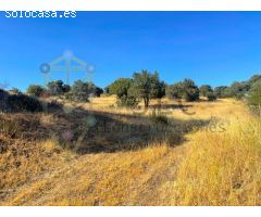 Terreno rural en Venta en Colmenar Viejo, Madrid