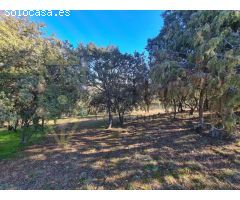 Terreno rural en Venta en El Casar, Guadalajara
