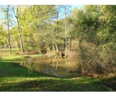 Terreno rural en Venta en Valdetorres de Jarama, Madrid