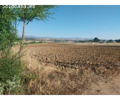 PARCELAS RUSTICAS A PARTIR DE 170.000€
