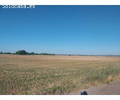 PARCELAS RUSTICAS A PARTIR DE 170.000€