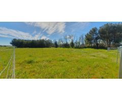 ¡Oportunidad única! Parcela rústica de 2.500m² en Fuente el Saz del Jarama por 28.000€