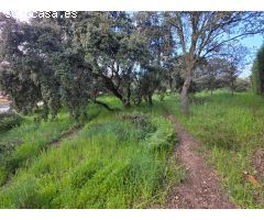 Terreno urbano en Venta en El Casar, Guadalajara