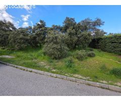 Chalet en Venta en El Casar, Guadalajara