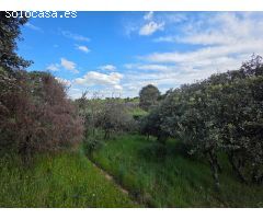 Chalet en Venta en El Casar, Guadalajara