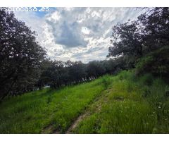 Chalet en Venta en El Casar, Guadalajara