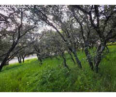 Chalet en Venta en El Casar, Guadalajara