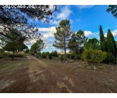PRECIOSA FINCA EN VILLAREJO DE SALVANÉS.