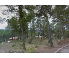 PARCELA EN VENTA