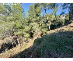 GRAN PARCELA EN LA URBANIZACION LA VALL DE SANTA SUSANNA!!