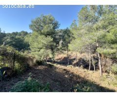 GRAN PARCELA EN LA URBANIZACION LA VALL DE SANTA SUSANNA!!