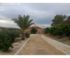 Chalet en parcela de 5.000 ms con olivos y pinos