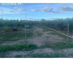Parcela Urbana en plena huerta de Murcia