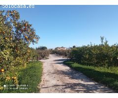 parcela rústica en huerta de Alquerías