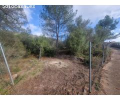 PARCELA RUSTICA - LA LLACUNA