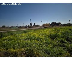 TERRENO URBANO - PLAYA DE MIRAMAR