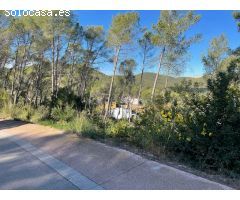 Olivella Mas Mestre parcela de 1200 m2