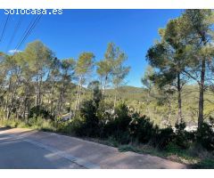 Olivella Mas Mestre parcela de 1200 m2