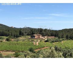 Finca rústica con dos casas a cinco minutos de Sitges.