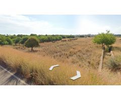 Terreno rural en Venta en Castellon - Castello de la Plana, Castellón