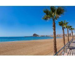 COMPLEJO RESIDENCIAL DE OBRA NUEVA EN AGUILAS