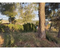 RUBÍ  - ¡¡¡TERRENO CON SUPERFICIE GRÁFICA DE 704m2!!!