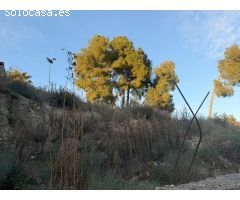 RUBÍ  - ¡¡¡TERRENO CON SUPERFICIE GRÁFICA DE 704m2!!!