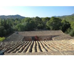 ANTIGUO HOSPITAL DE LOS TEMPLARIOS DEL SIGLO XII EN CALAS DE MALLORCA