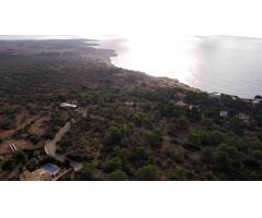 OFERTA 53 PARCELAS EN CALA PI