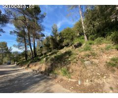 Venta de Terreno en plena naturaleza en Corbera de LLobregat!