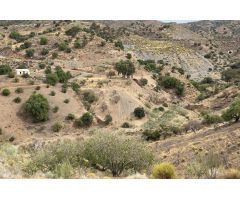 Se vende terreno rústico de más de 40.000m2 a las afueras de Málaga muy cerca de la autopista AP46 y