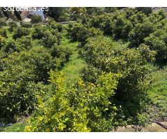 Finca en Cómpeta