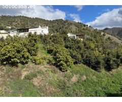 Finca en Cómpeta