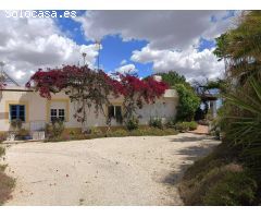 Finca rústica en venta en Algoda-Matola-Llano de San José
