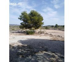PARCELAS PARA INVERSION EN TU CASA EN ZONA MUY INTERESANTE CON LUZ Y AGUA  A PIE DE PARCELA