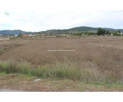 PARCELA DE CULTIVO CON AGUA DE RIEGO