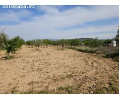 Terreno Rústico en Alquiler en Monovar - Monover, Alicante
