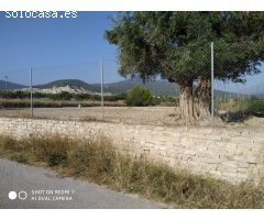 SE VENDE SOLAR RUSTICO EN CAMINO PUENTE DE HELLIN , MORATALLA