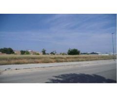 TERRENO URBANIZABLE DE 1.920 m2 en CARCAIXENT