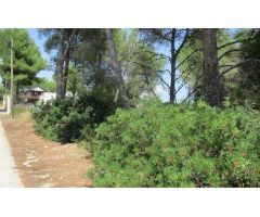 Solar en Venta en Canyelles, Barcelona