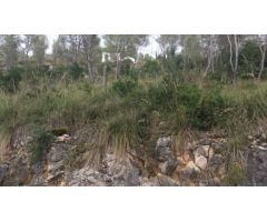 Terreno urbano en Olivella