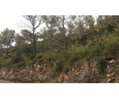 Terreno urbano en Olivella
