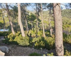 Terreno urbano situado en la Urbanización Las Colinas de Olivella.