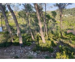 Terreno urbano situado en la Urbanización Las Colinas de Olivella.