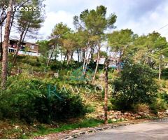 Sola urbano en Olivella.